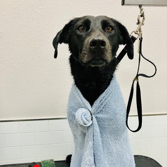 Heart Diamond Farm - Picture 6 of 15